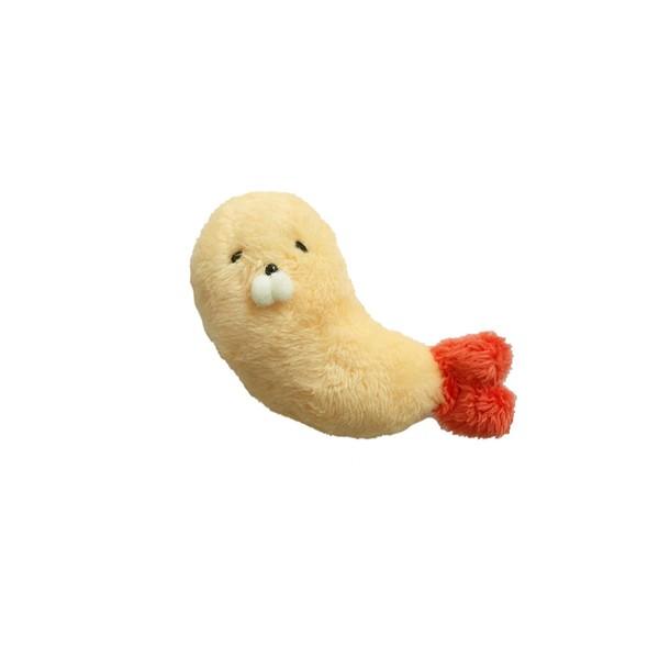 아기 새우물범이