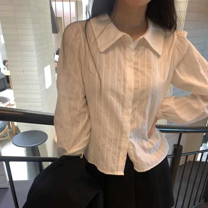 핀콧 카라 블라우스