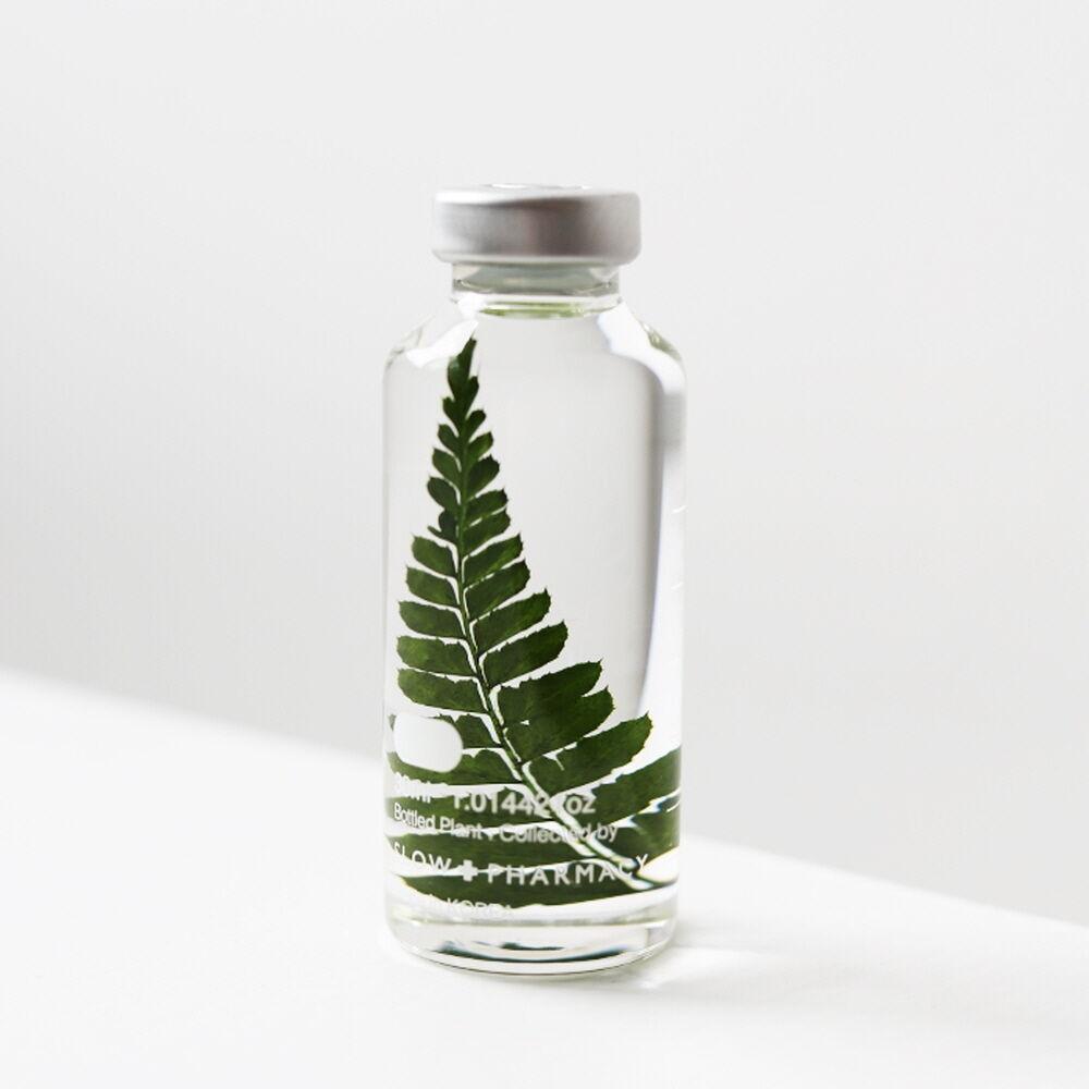 식물표본 30ml_Rumohra Adiantiformis