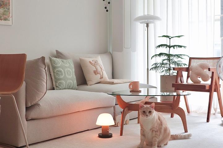 [5%쿠폰] 먼지없는 방수러그 거실러그 단모 대형 러그 카페트 애견매트 5컬러