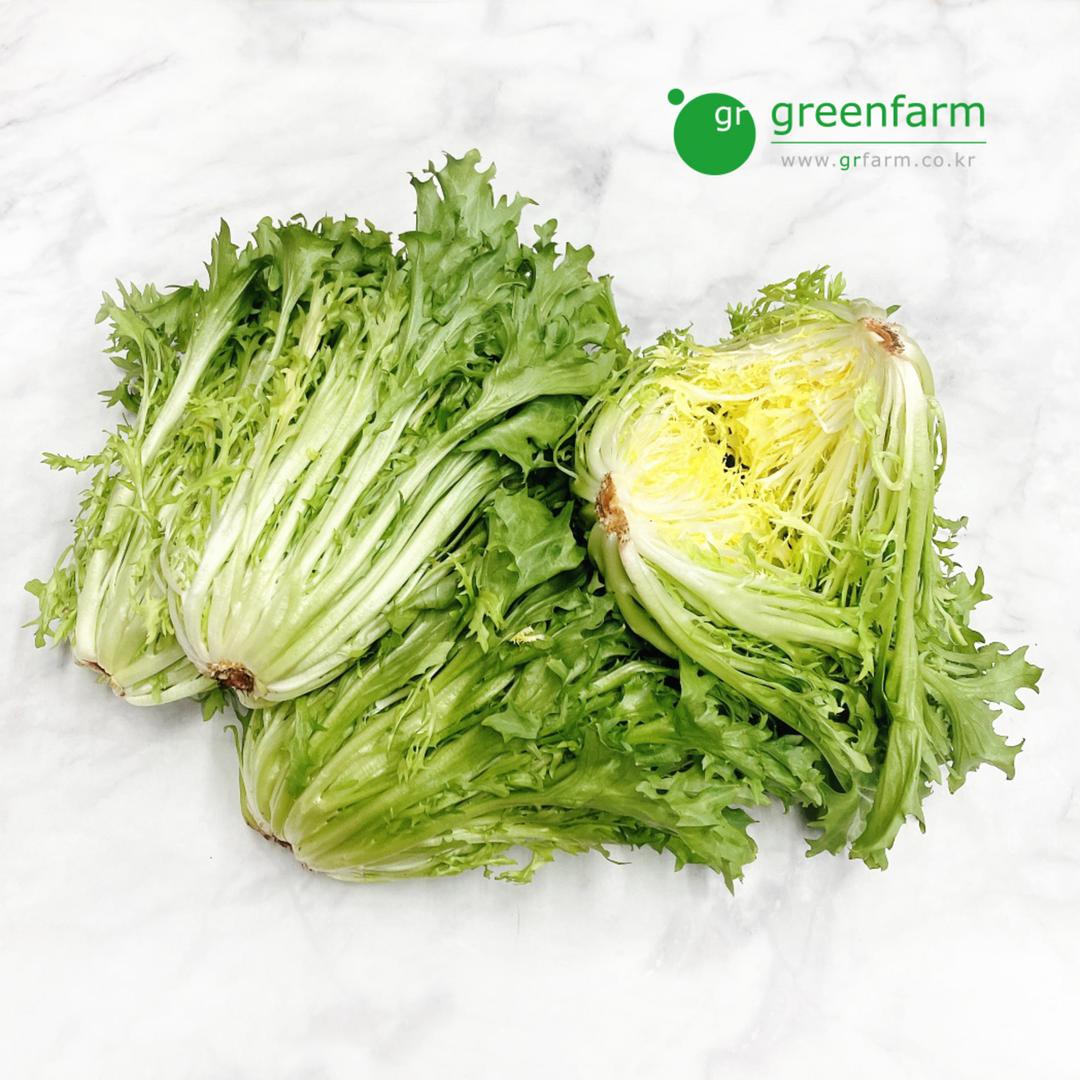 프리세 1kg-푸른잎이 많아요