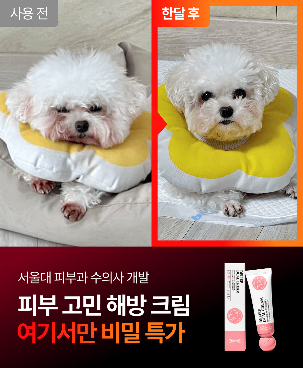 ★여기서만★ 피부 고민 해방 릴리프 듀얼 크림 한정 특가