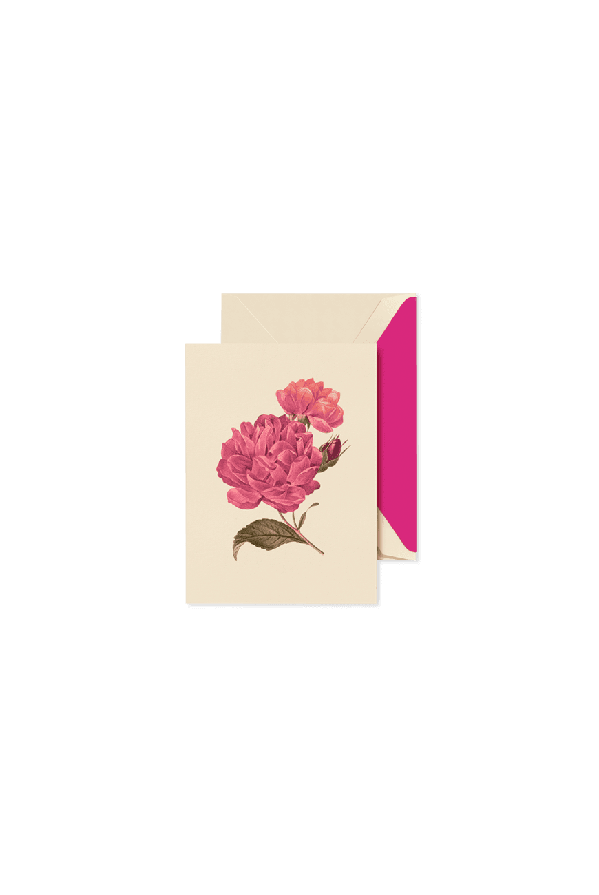 폴딩 카드 세트 Folded Card Set  - Modern Vintage Peonies