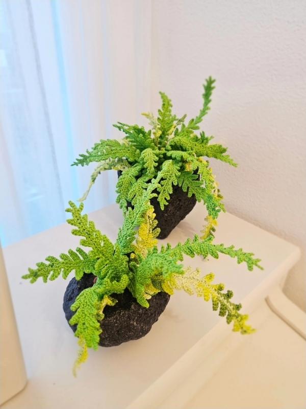 [DIY][K니트디자이너 with뜨앤] 보스턴 고사리 by 손뜨개꽃길