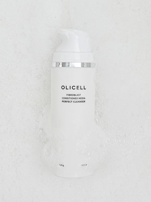 퍼펙트 클렌저 120g