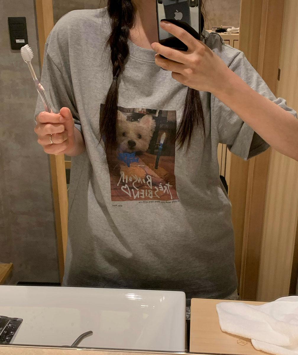 Puppy cake t