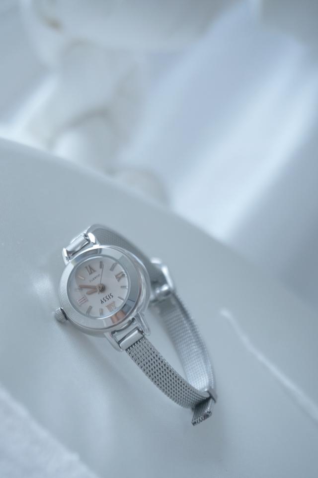 Slim mesh watch