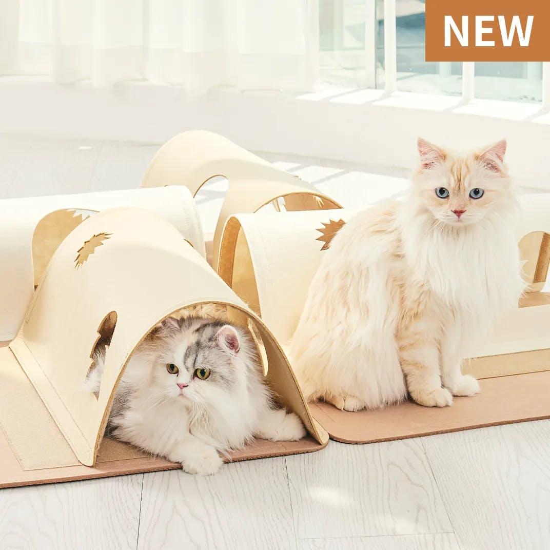 [사전예약 2차/단독구매 가능] 캣츠루틴 롤리폴리 숨숨터널