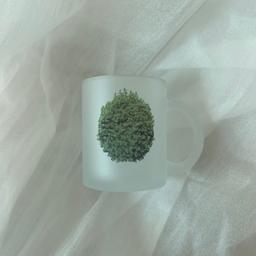 [지놀] Glass mug _ Supul 수풀 머그