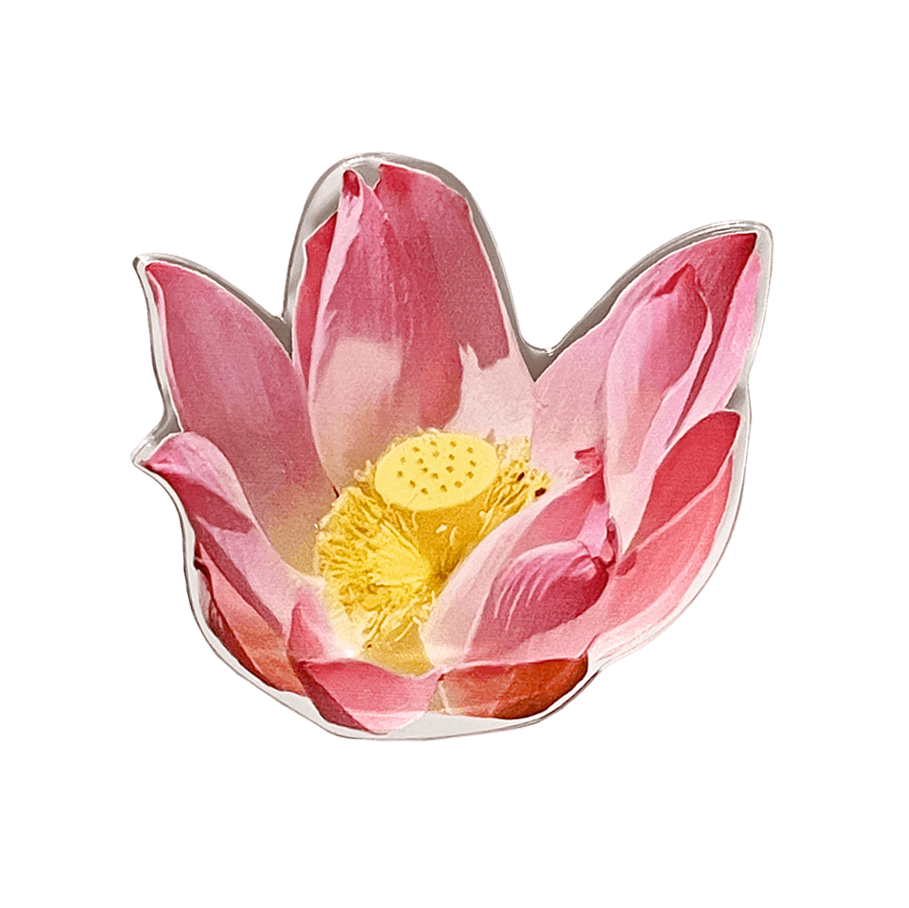 Lotus Tok
