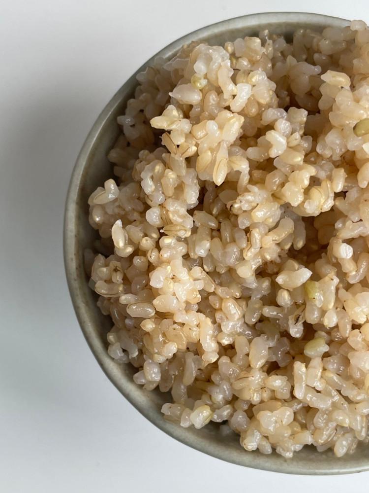 [4월1일부터순차발송]쫀톡현미4kg (23년 햅쌀 백진주 0분도미 현미) : 제철언니