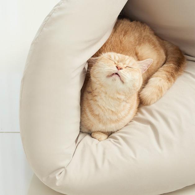 [특가 이벤트] 두잇 딤섬쿠션