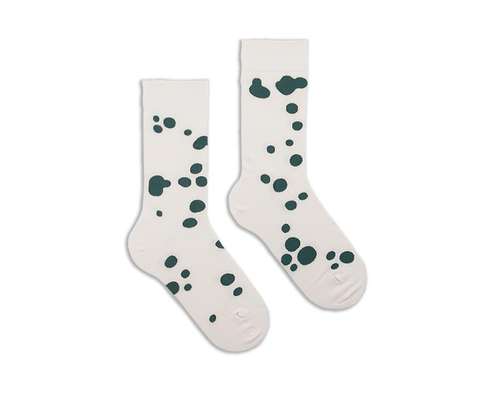 Dalmatian 5522