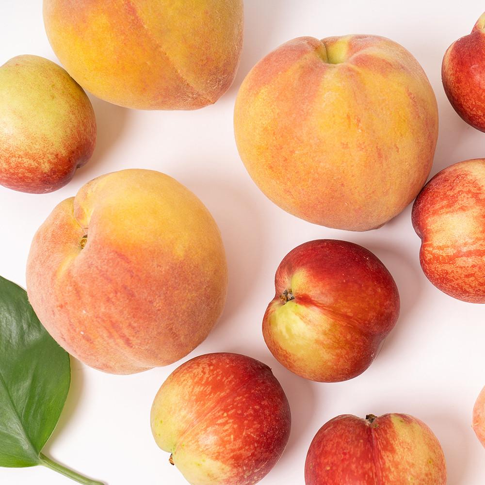 복숭아 신비복숭아 납작복숭아 딱딱이 말랑이 거반도 대극천 천도 백도 황도 하우스