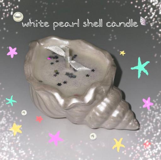 진주펄소라고동캔들(여름,답례품,퇴사선물,단체선물,조개)