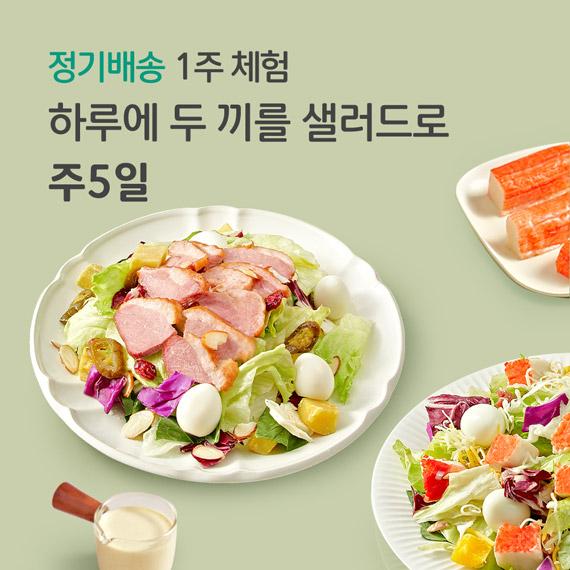 하루에 두 끼를 샐러드로 5일