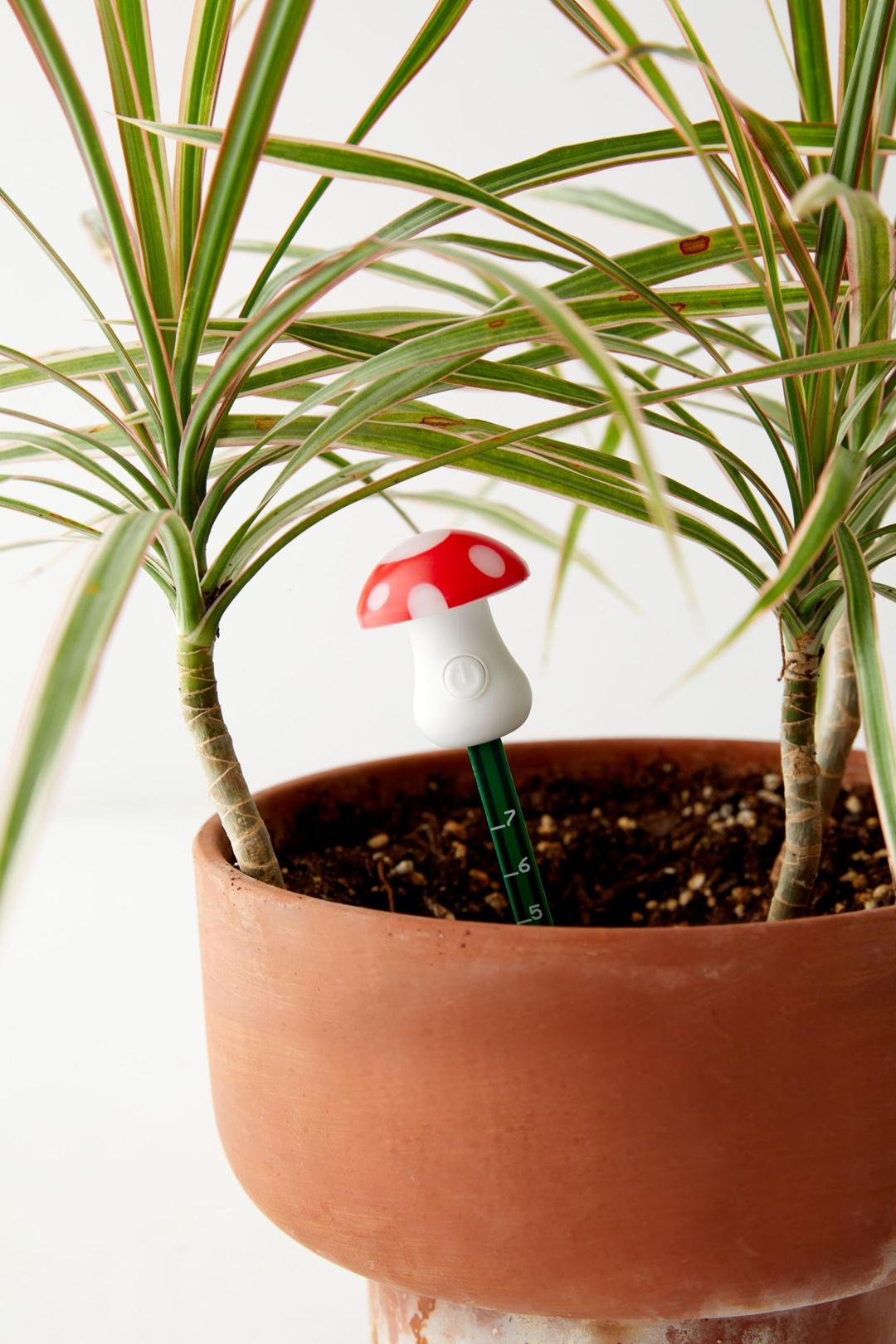 Mushroom Moisture Meter