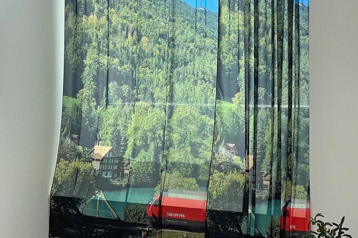 스위스 트레인 대형 쉬폰 패브릭 커튼 가리개