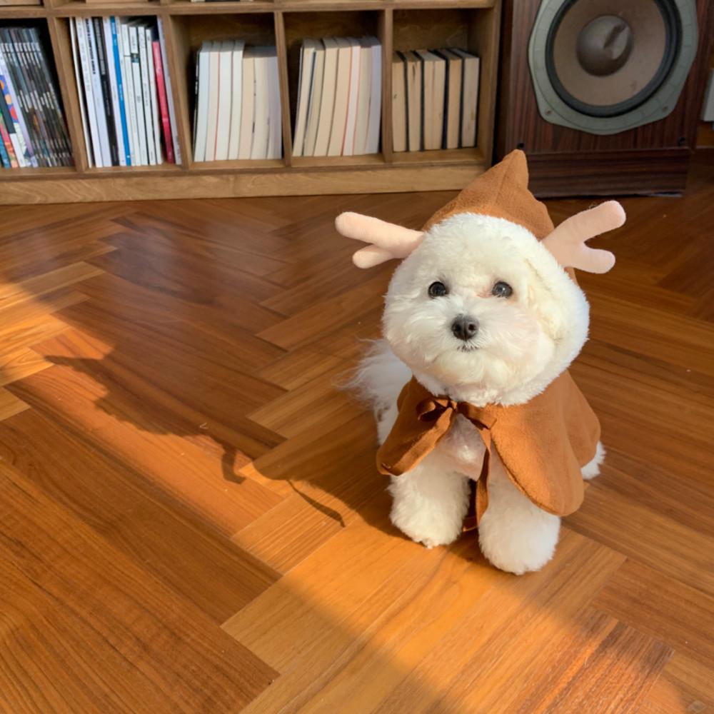 루돌프 소프트 망토 브라운S / 크리스마스 강아지옷 연말파티옷