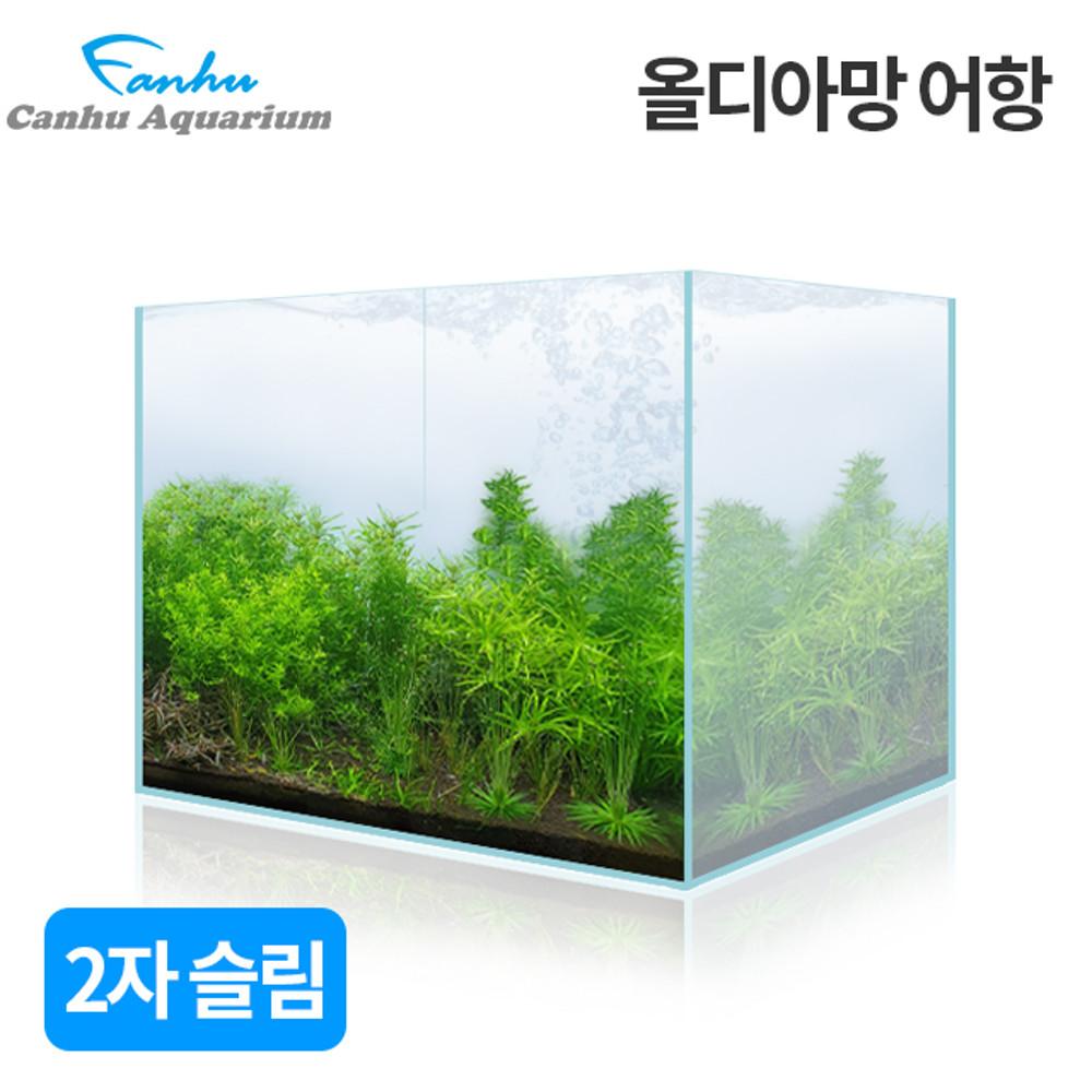 [칸후] 2자슬림 프리미엄 올디아망어항 60X35X38cm 6T (매트증정)