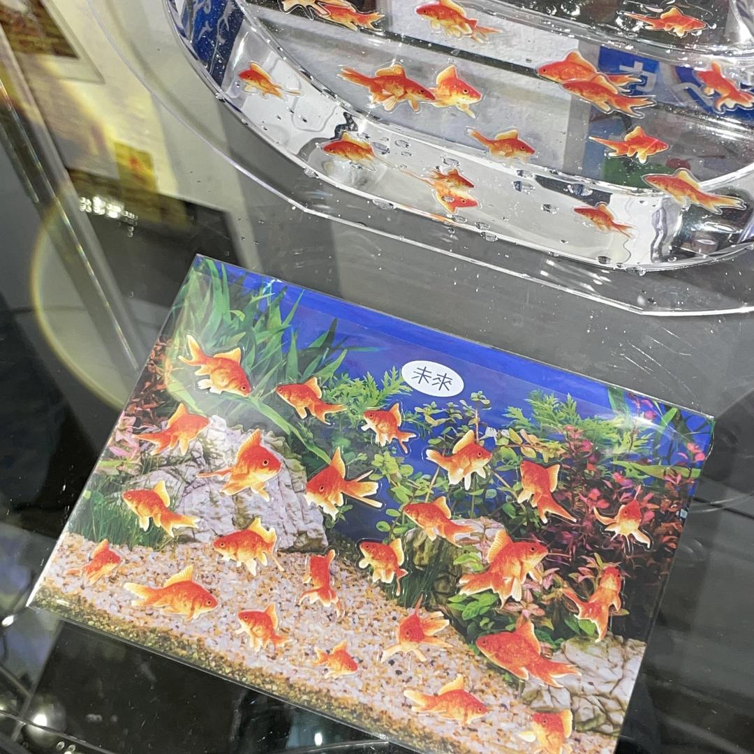 goldfish seal sticker
