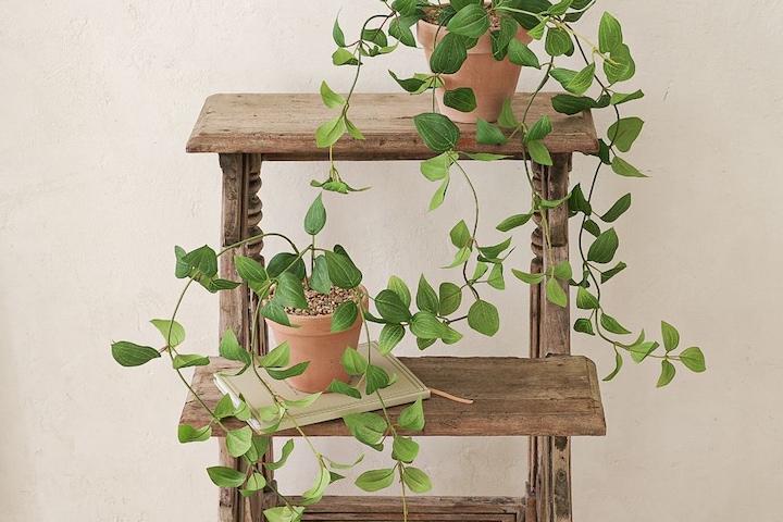 화이트라인 아몬드페퍼 클레마티스 조화 화분 2type