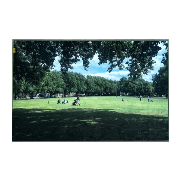 London green park, landscape rug