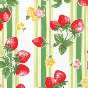 Happy Message 30s-053