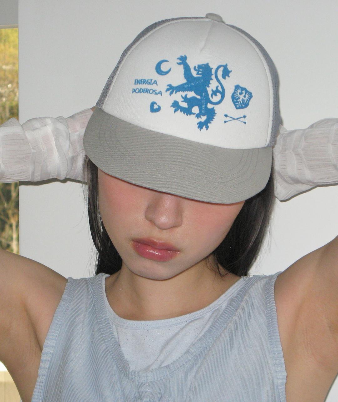 Graphic Mesh Cap [Gray]