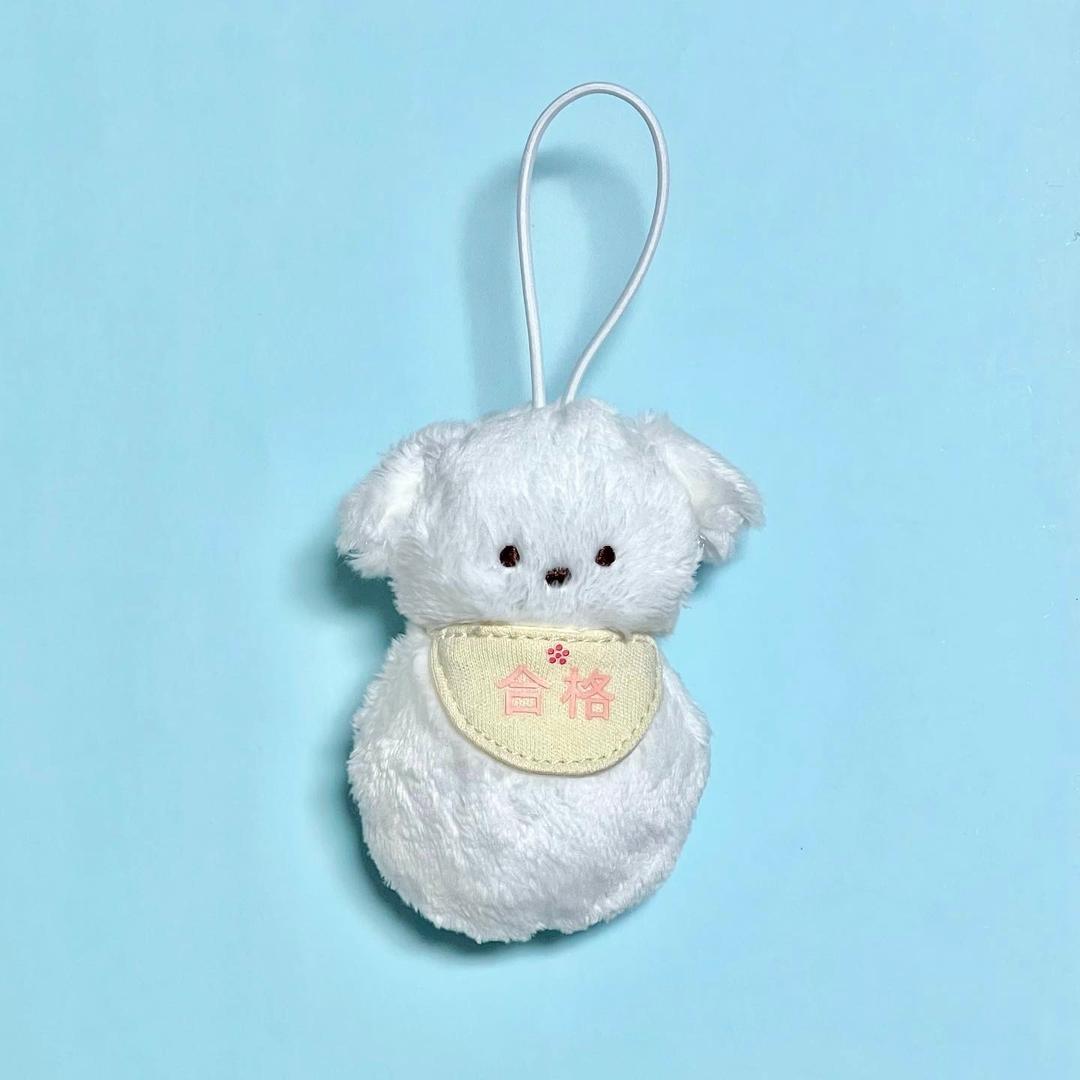 합격 흰둥이