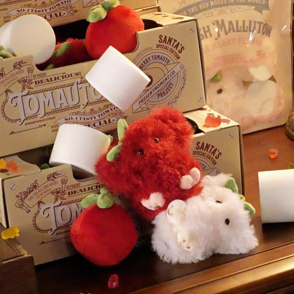 [FLUFFY☁︎] 행복을 되찾아줄 [마시멜로우토 / 토마우토]