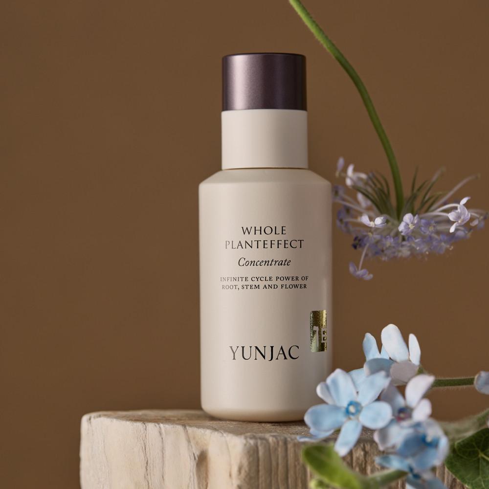 [연작] 전초 컨센트레이트 40ml