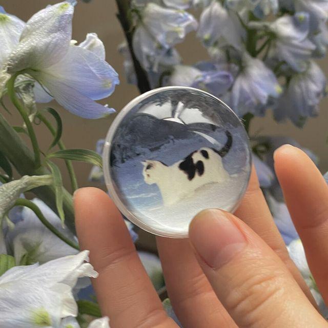 [cobalt kitty griptok] 빈티지무드 고양이 반구그립톡 레진 문진 그립톡 안낙 Annak 꽃 겨울 눈 고양이 아이폰 갤럭시 그립톡 스마트톡