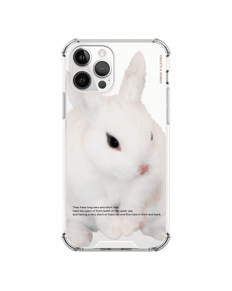 rabbit