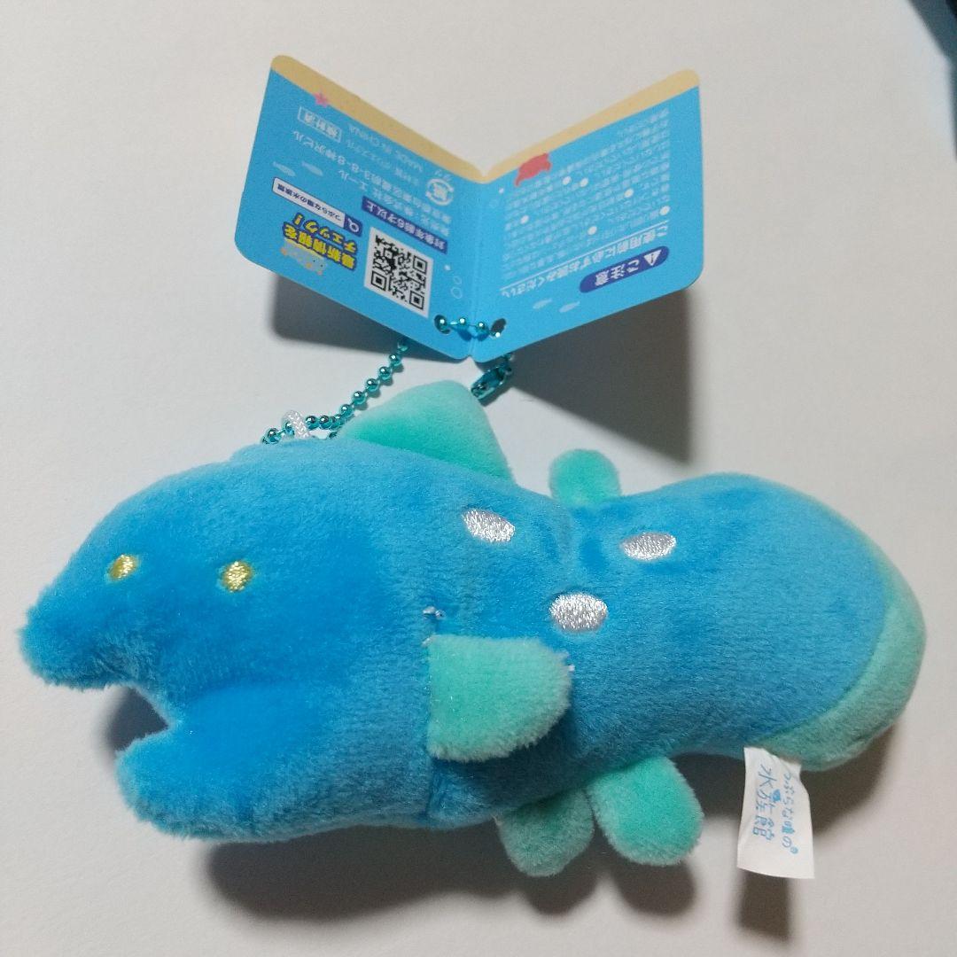 つぶらな瞳の水族館