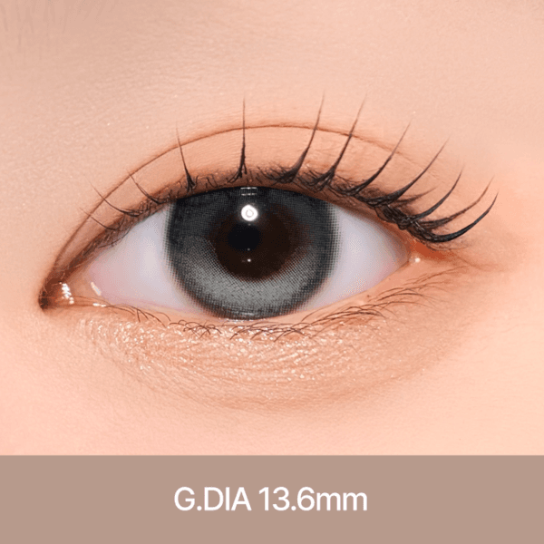 도니아 [ 문그레이 ] 1개월용