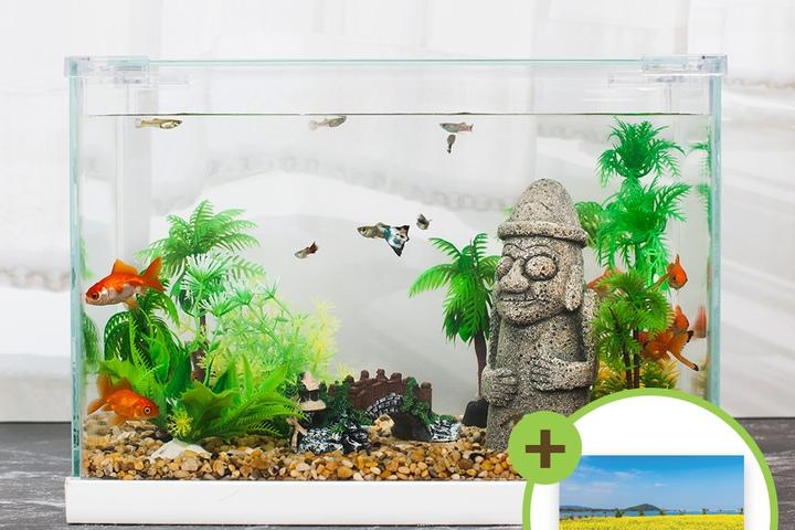 돌하르방 미니어항세트(대) 유리 수족관세트