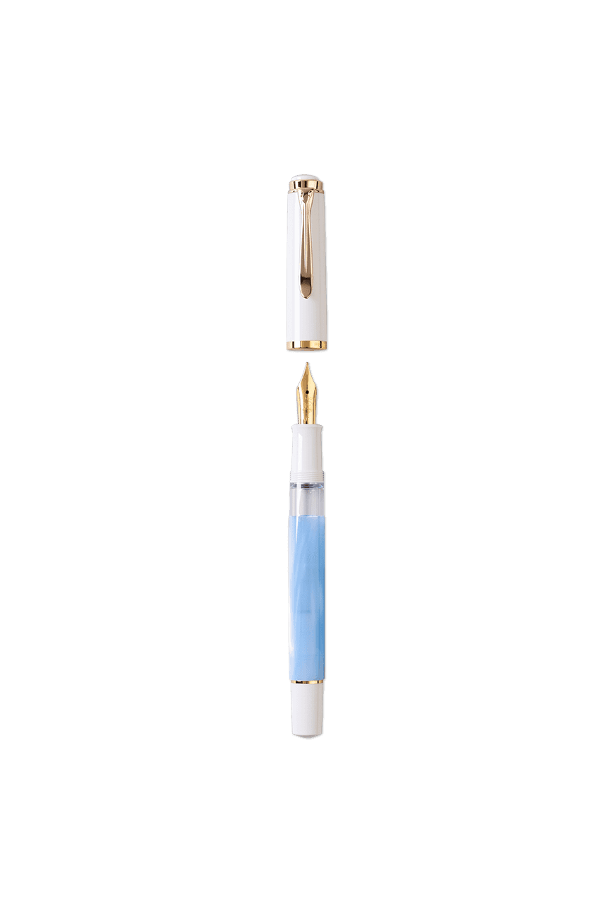 클래식 만년필 Classic M200 Fountain Pen - Blue Pastel