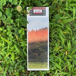 summer jeju bookmark 책갈피