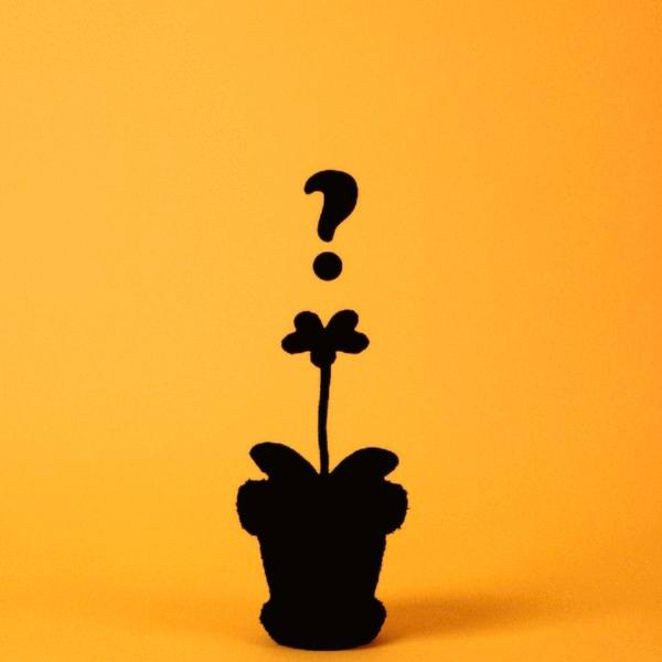nidoi custom - made flower pot
