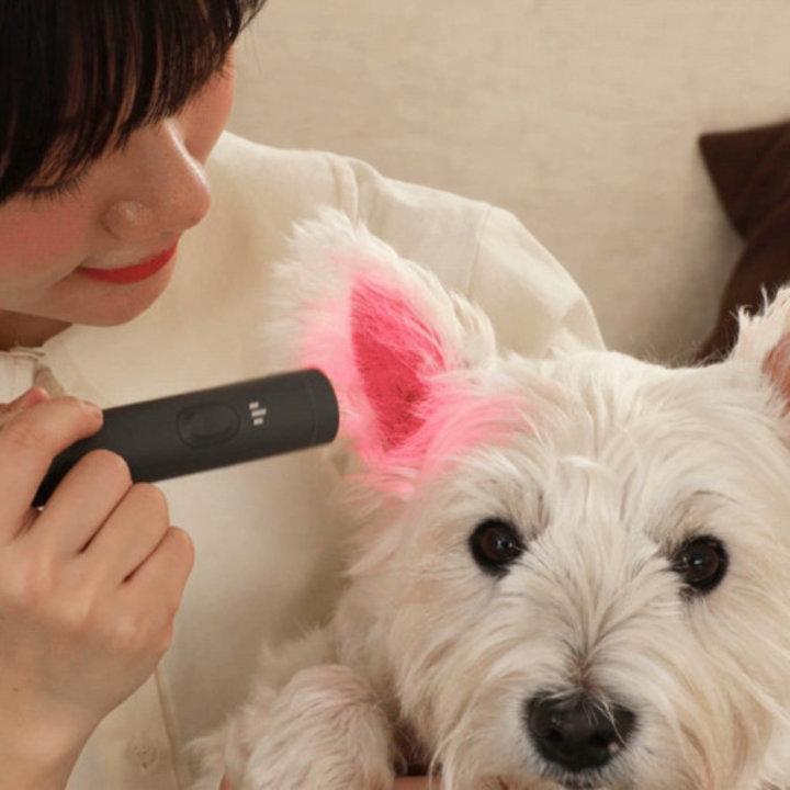 제디 UV펫큐어라이트 반려동물 염증케어 광선조사기