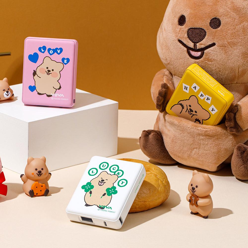 [New 꽃카 에디션] 보바 맥세이프 무선 고속충전 보조배터리 10,000mAh 22.5W