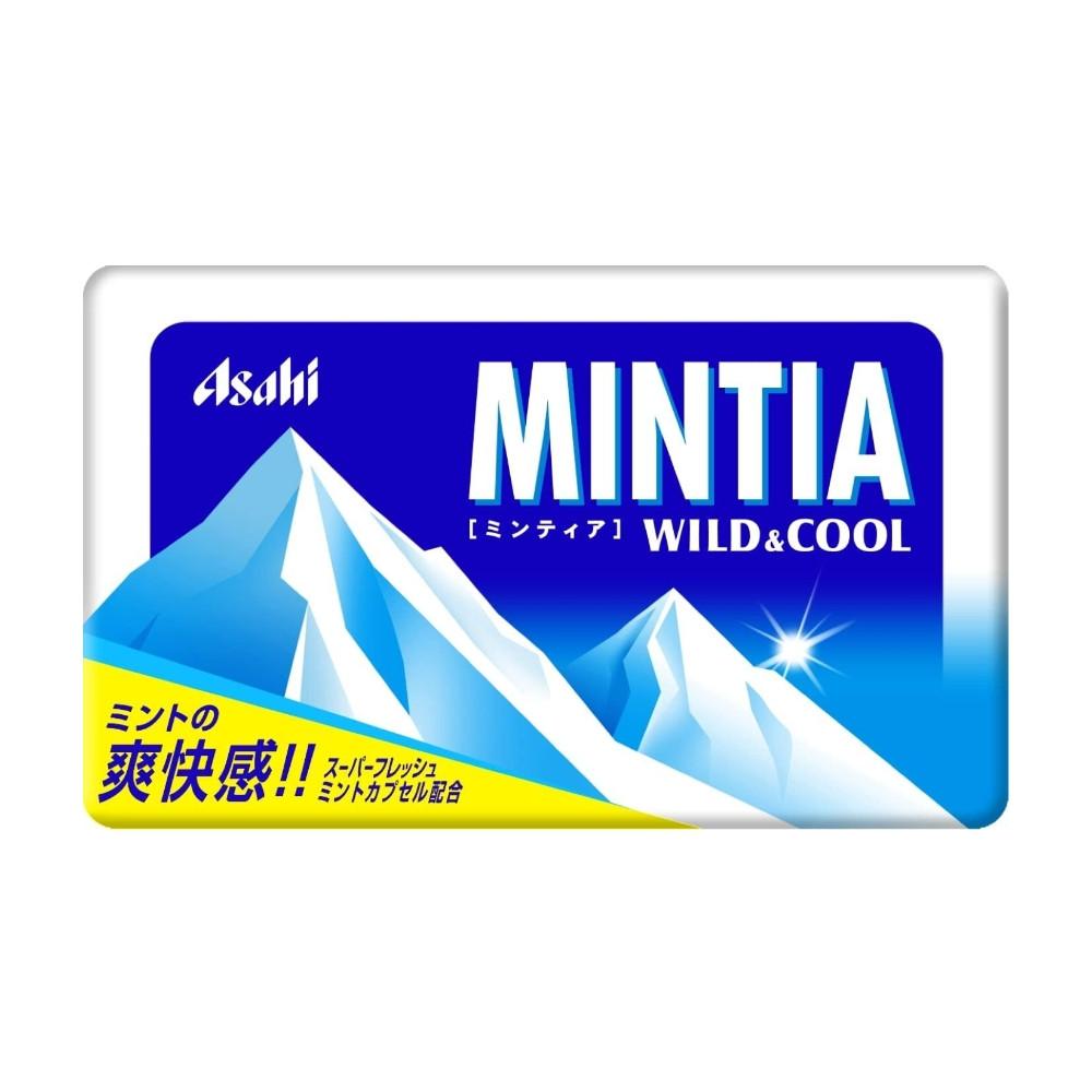 민티아 와일드 쿨 외 19종 일본 구강청정캔디