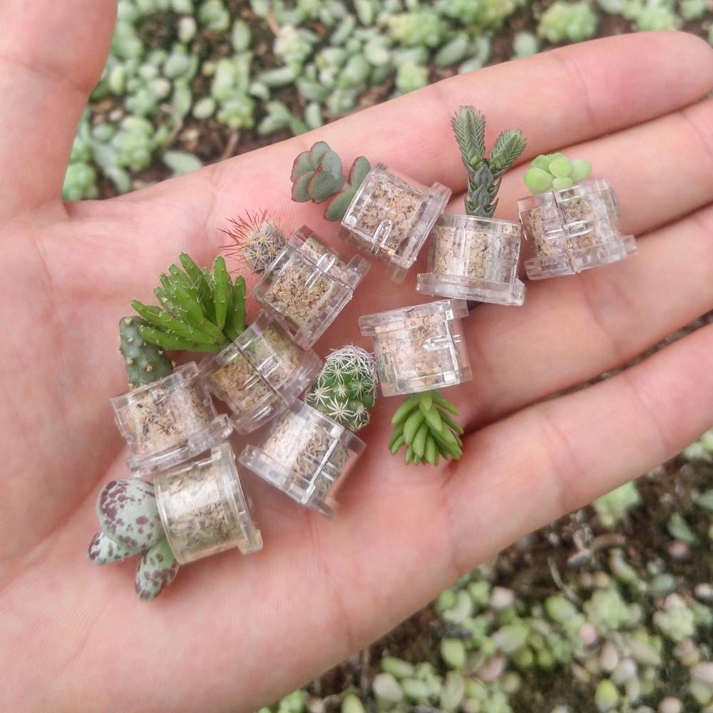 마음화분 대량구매