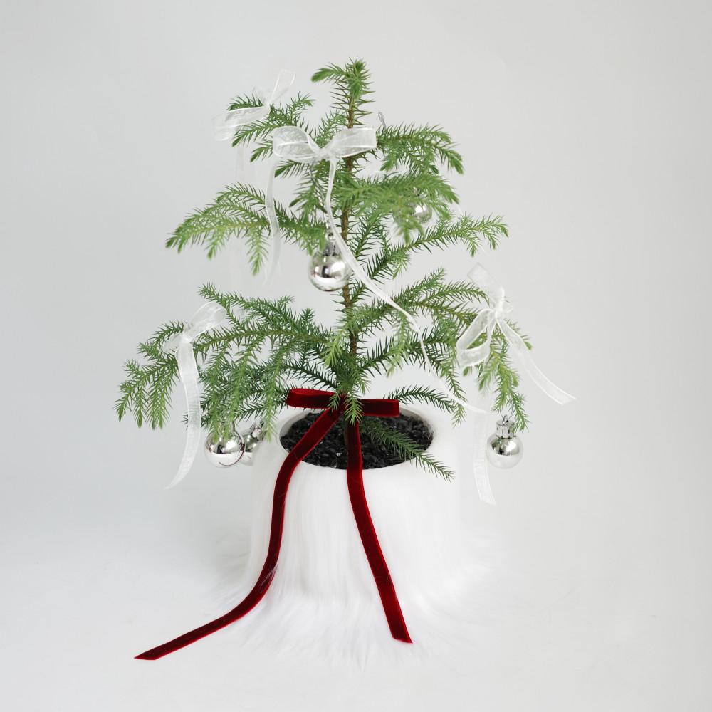 크리스마스 아라우카리아 퍼 팟 커버 트리