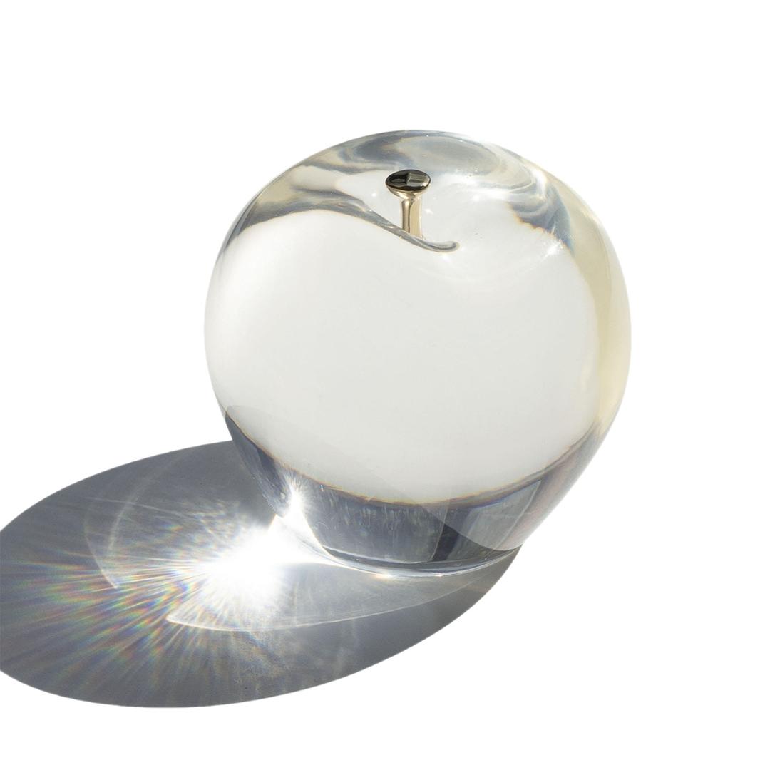 [mixtureshop] 사과문진 apple paperweight _ glossy, powdery