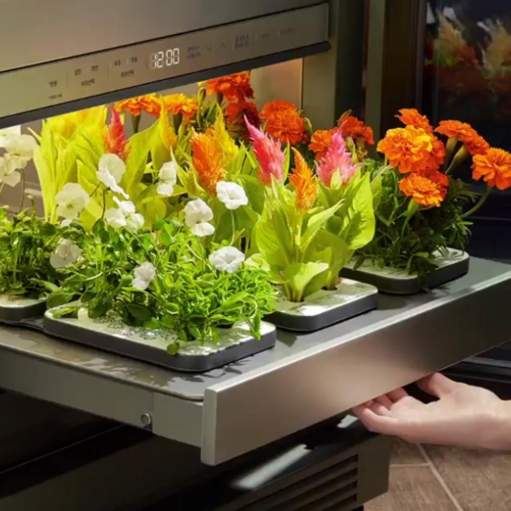 LG 틔운 씨앗키트 패키지 모음전