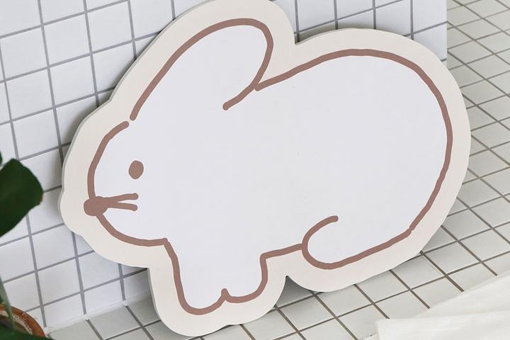 DONATDONAT 규조토 발매트