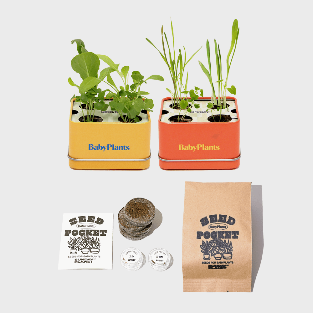 [식물재배키트] BabyPlants + Seed pocket set