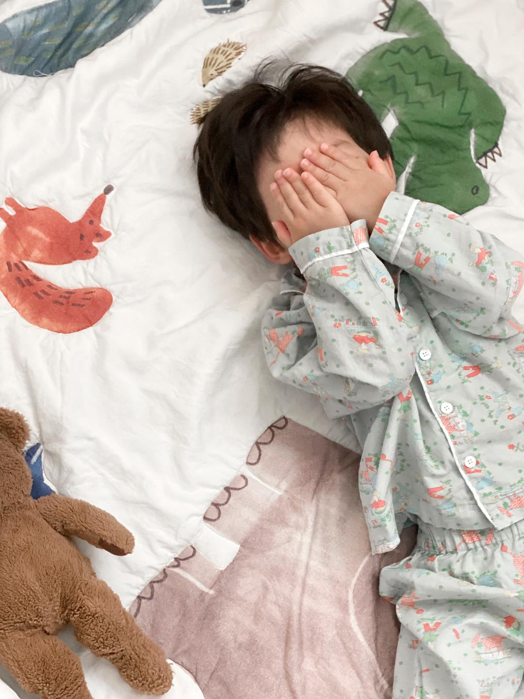 Safari four seasons bed comforter set